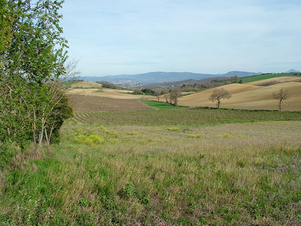 Cammas Blanc Terrain