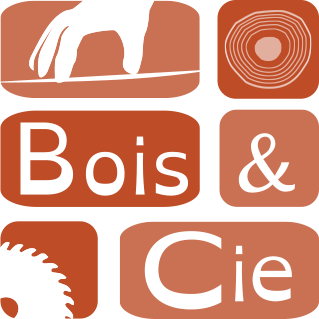 boisetcie logo